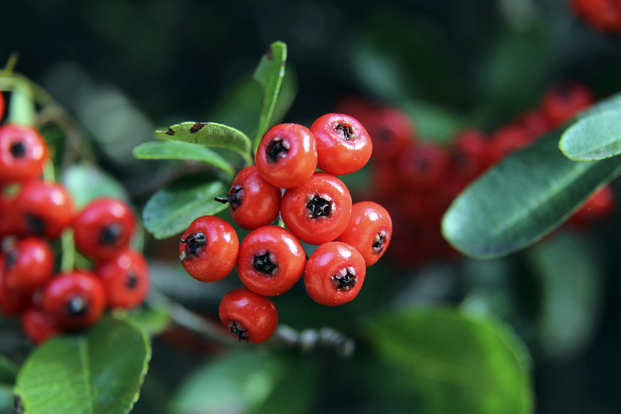 的团结与和 的团结与和