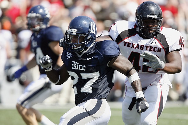 我只做了我 我只做了我