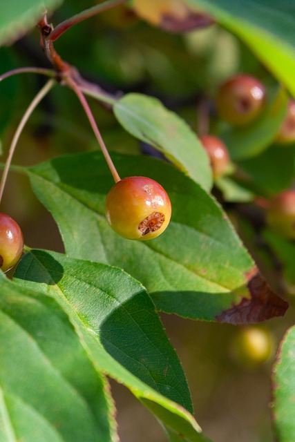 背景解读 背景解读